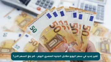 تغير جديد في سعر اليورو مقابل الجنيه المصري اليوم.. كم بلغ السعر الآن؟